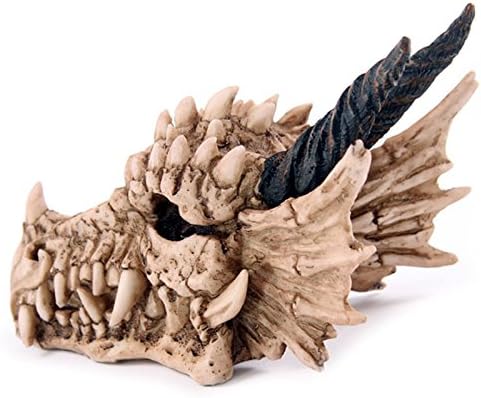 Puckator - Dragon Skull Money Box Home Decor