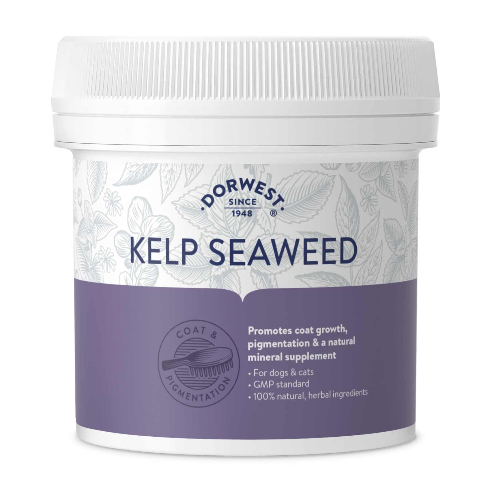 DORWEST HERBS Kelp Seaweed Powder for Dogs & Cats - Natural Multivitamin for Coat Growth & Pigmentation | 250g