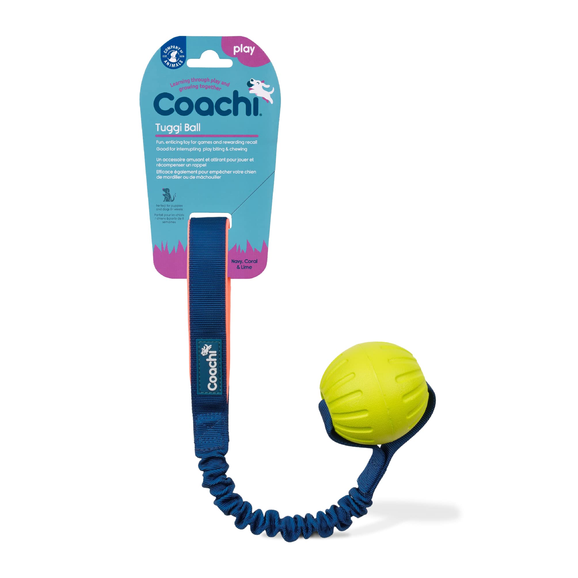 Coachi Tuggi Ball - Interactive Dog Toy for Tug of War & Fetch | Bungee Handle | Navy, Coral & Lime 1