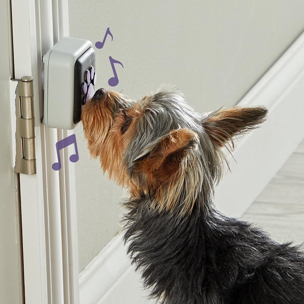 Hunger for Words Talking Pet Doorbell - Recordable Sound | Plastic 2