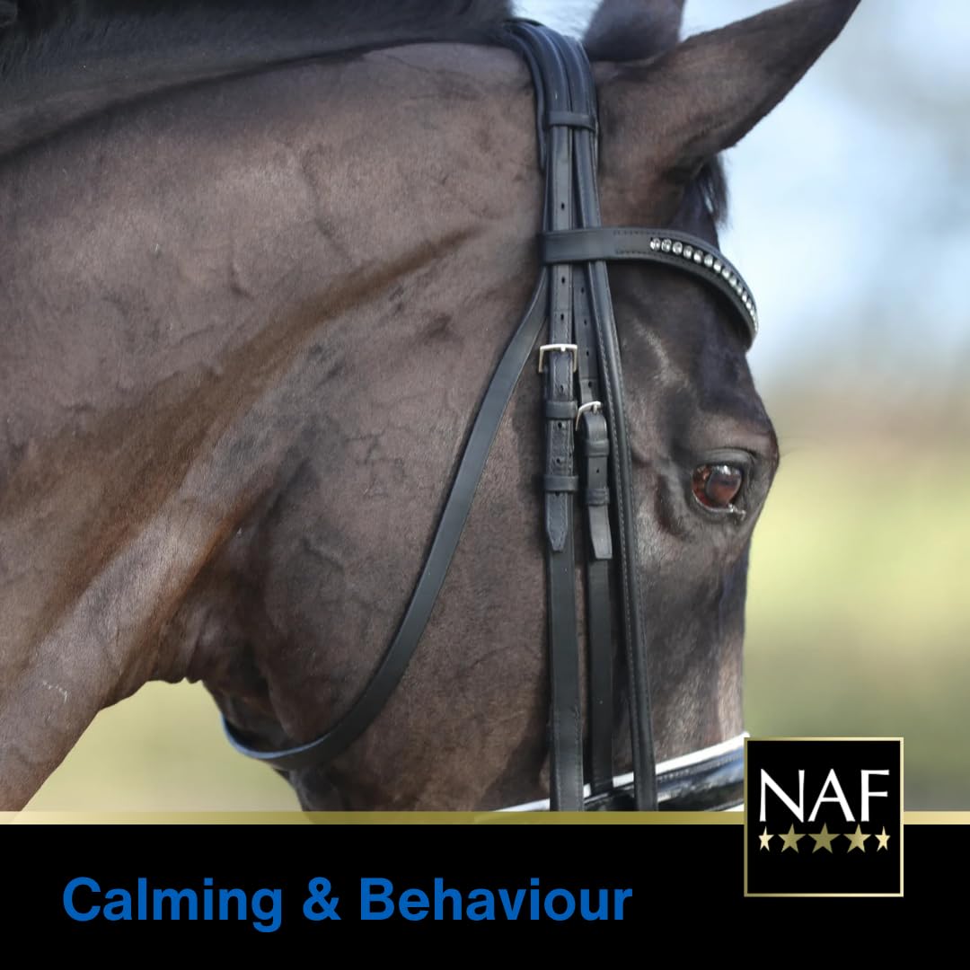 NAF Five Star Magic Liquid 1L - Magnesium-Based Calmer for Horses | Supports Nervous System 6