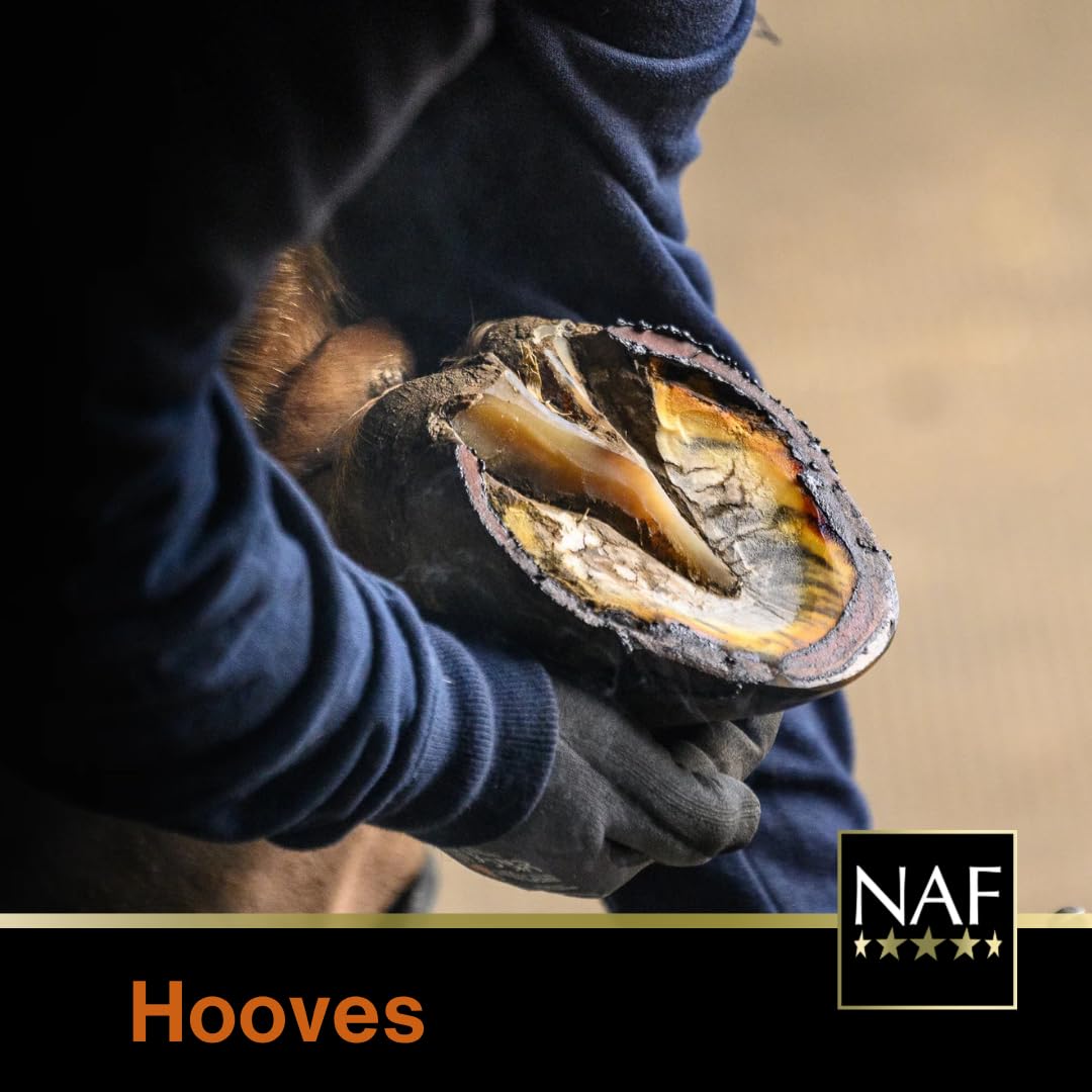 NAF Hoof Oil - Traditional Gloss Finish for Healthy Hooves | 500ml 5