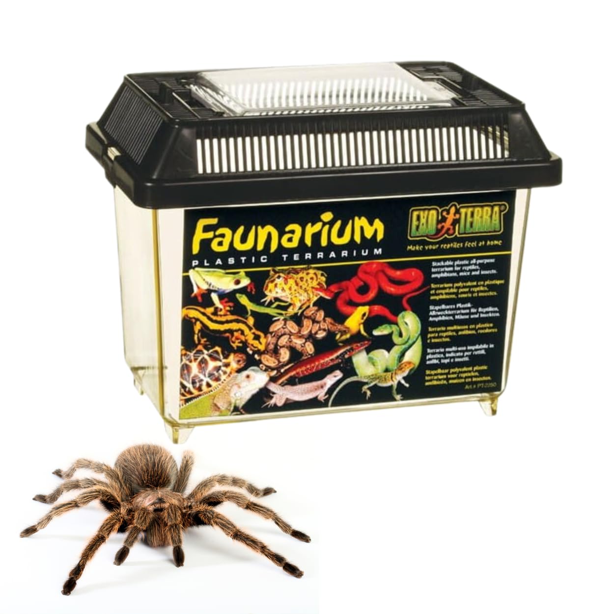 Exo Terra Faunarium Small PT2255 - Plastic Transport & Temporary Housing | 230x155x165 mm
