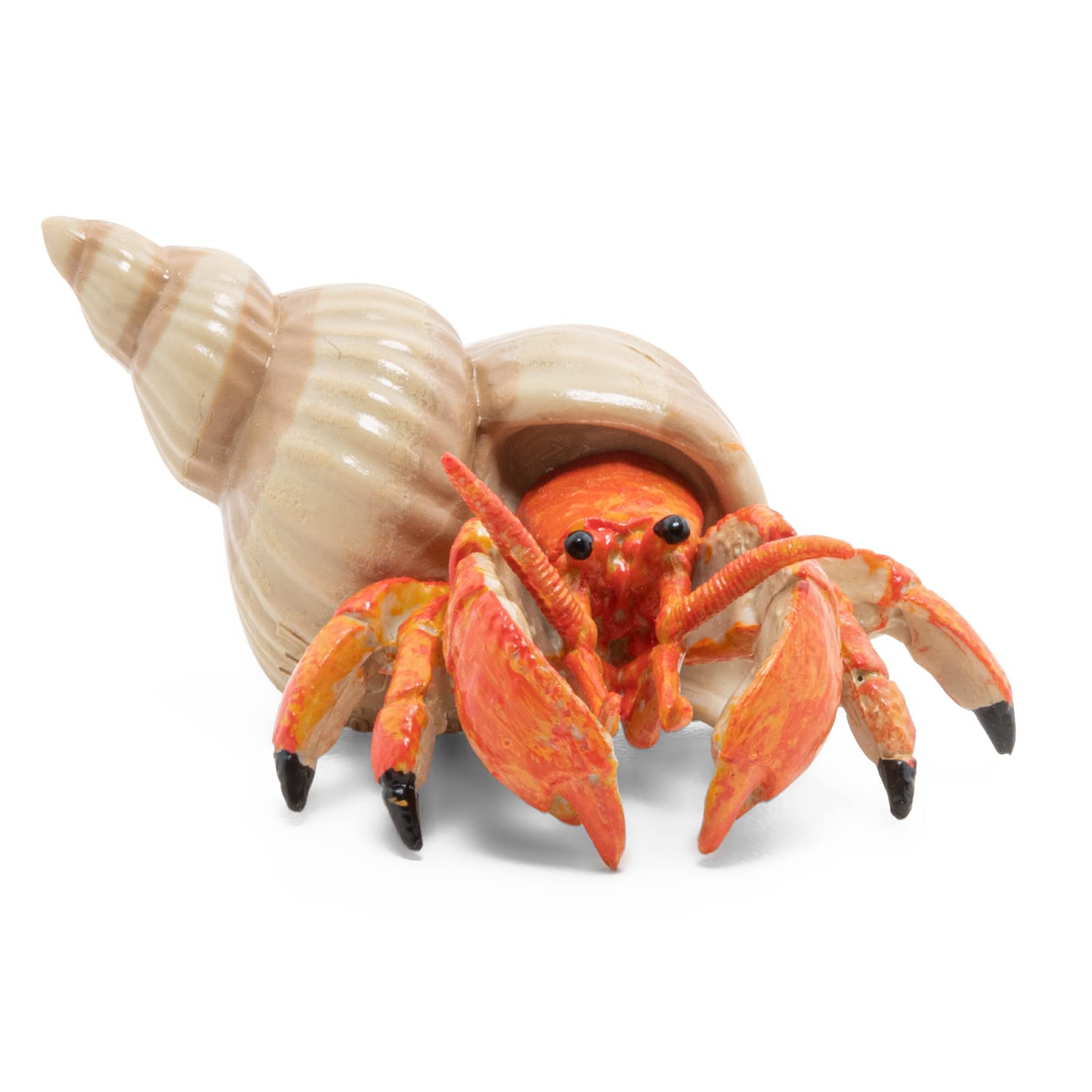 Papo Hermit Crab Figurine - Hand Painted Marine Animal Toy for Kids 3+ | Model 56054 | 6.1 x 4.4 x 2.8 cm 1