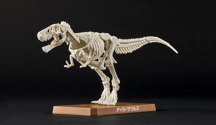 BANDAI SPIRITS New Dinosaur Plastic Model Tyrannosaurus (Provi) - Color-Coded Model Kit for Dinosaur Enthusiasts