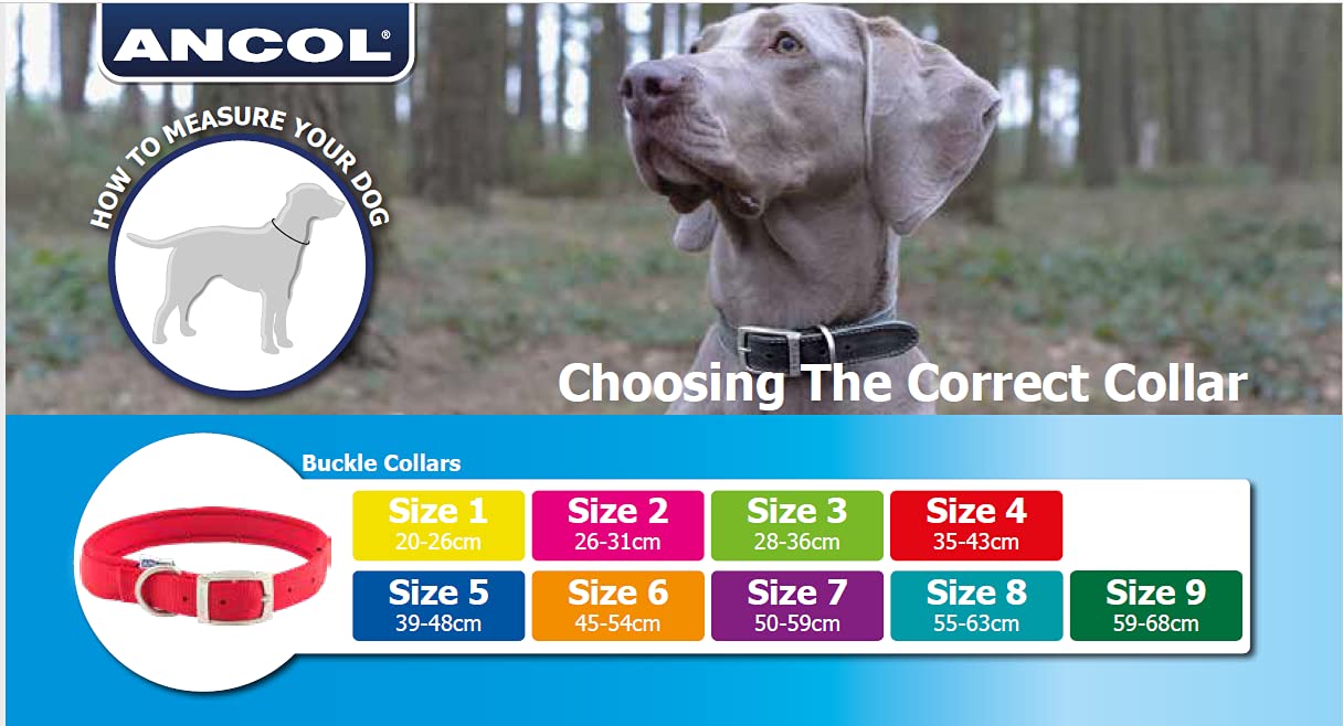 Ancol Timberwolf Leather Collar Sable Size 5 - 39-48 cm Neck | 2.2 cm Width