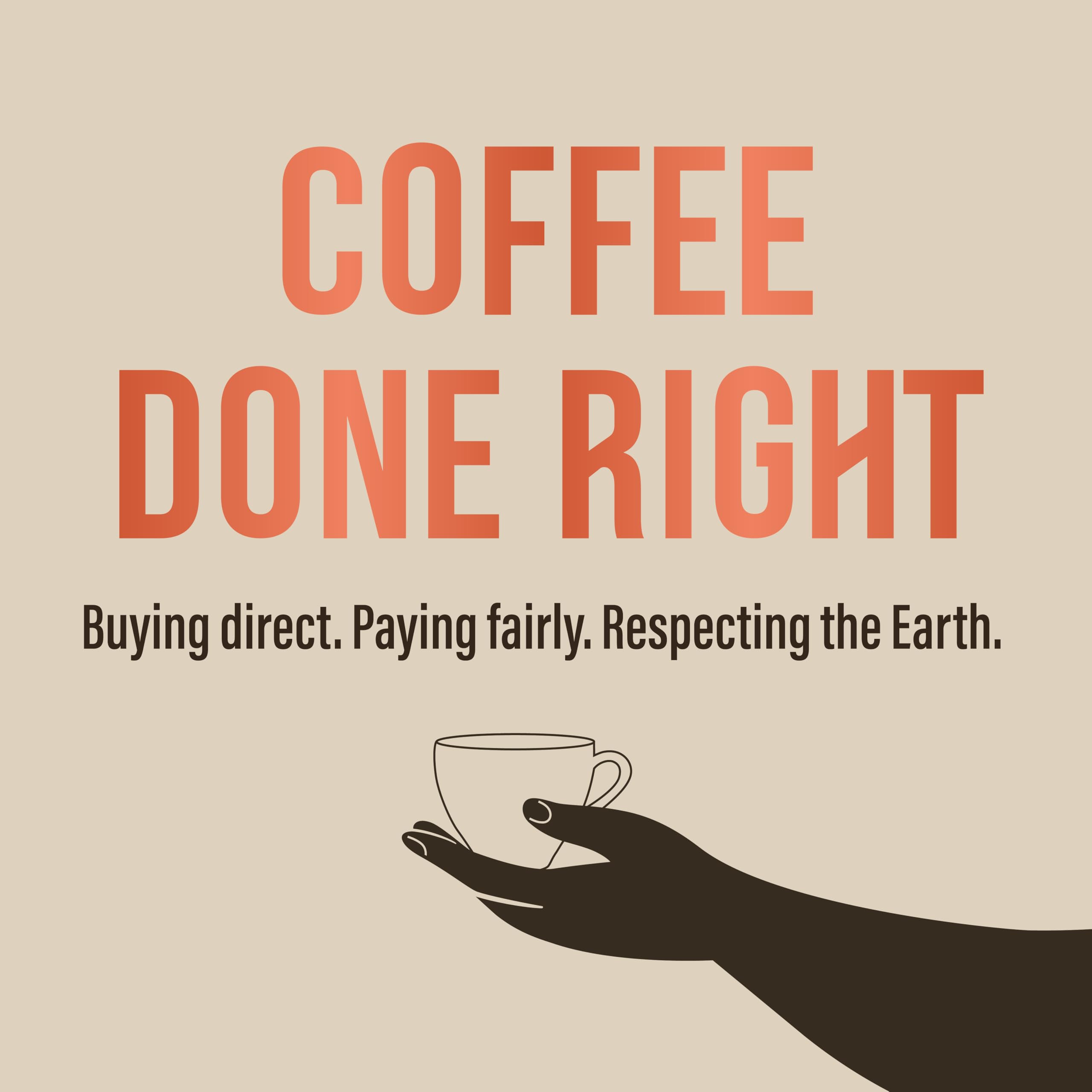 Café Direct Mayan Gold Organic Fairtrade Ground Arabica Coffee, 227g (Pack of 6) 7