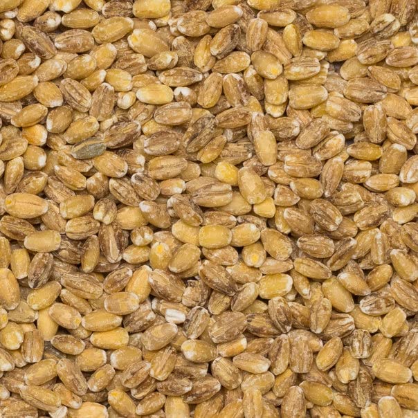 Wholefood Earth Pearl Barley 1 kg | GMO Free | High Fibre | Vegan | Recyclable Packaging