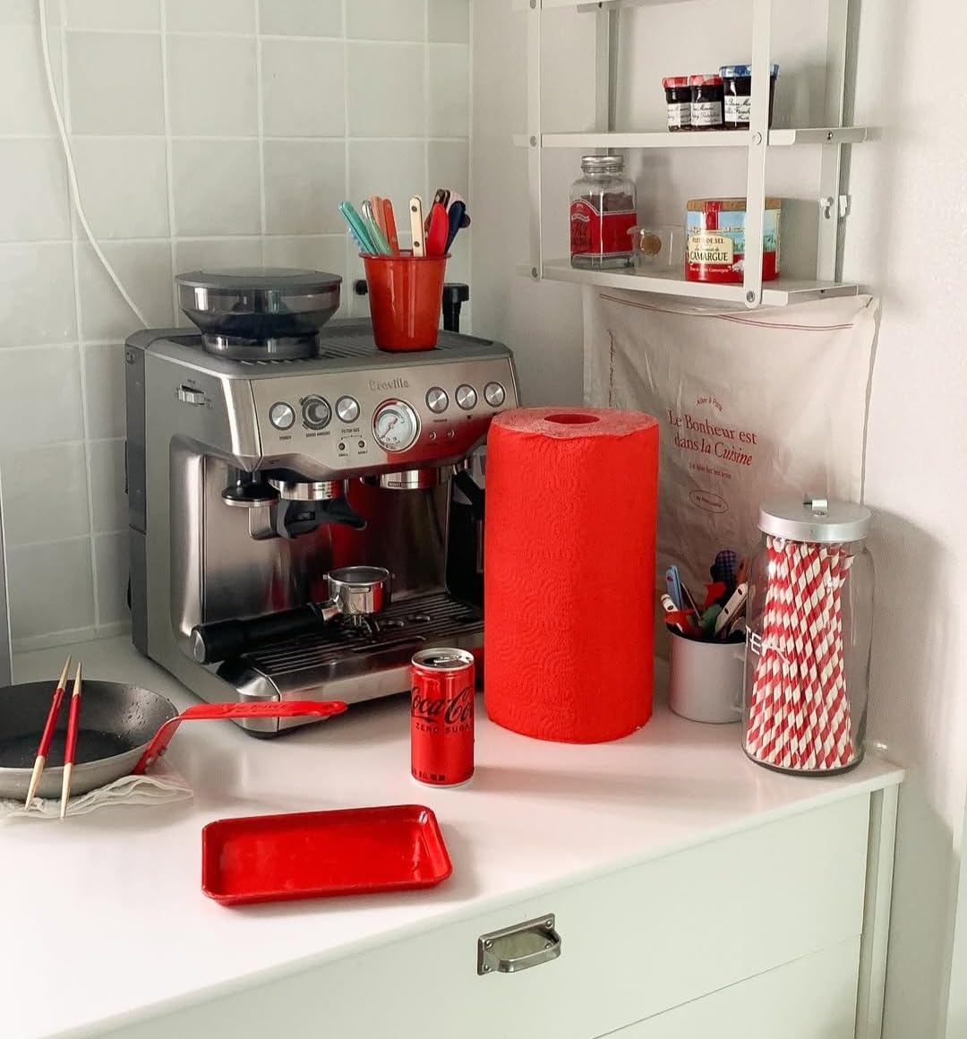 Renova Red Paper Towel 1 Roll, 2-Ply, FSC Certified, Kitchen Roll 12