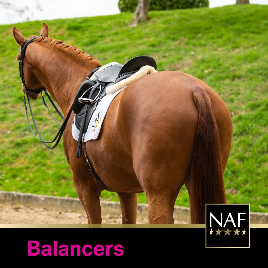 NAF In The Pink Powder - Advanced Nutritional Support for Horses | 700g 3