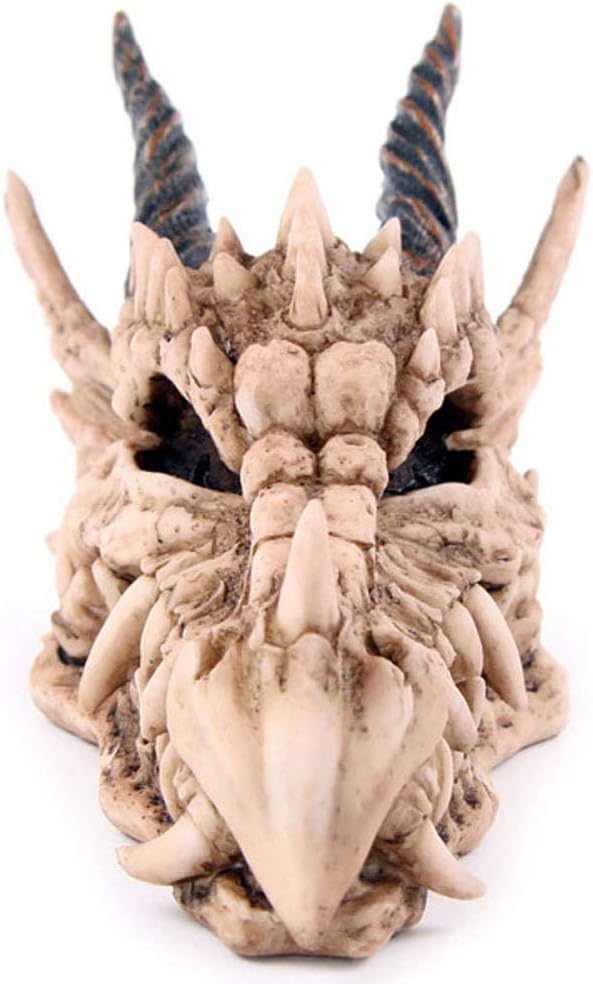 Puckator - Dragon Skull Money Box Home Decor