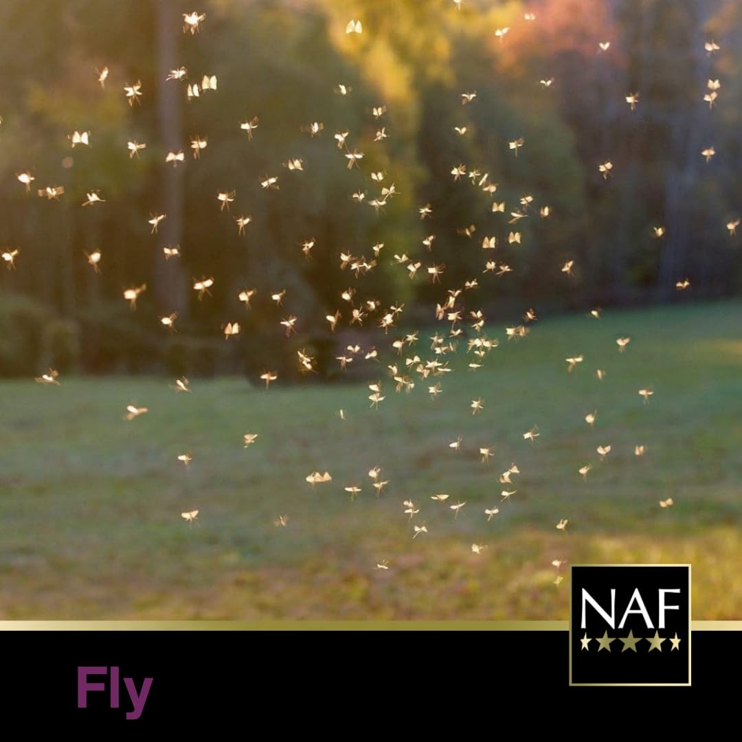 NAF Off Extra Effect Gel - Citronella-Based Fly Repellent | 750g Tub 4