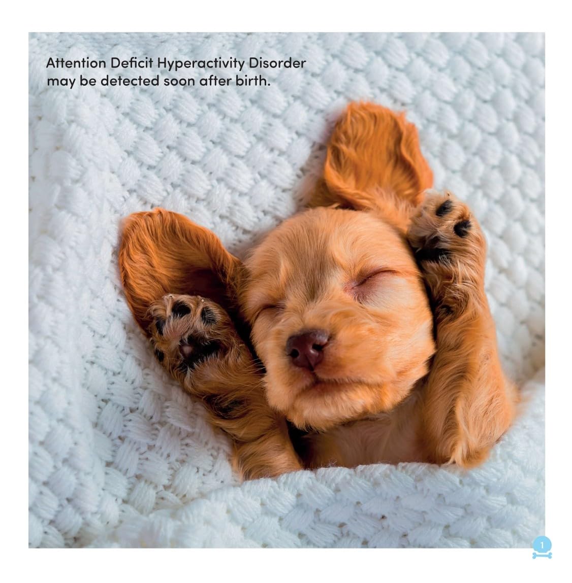 Jessica Kingsley Publishers All Dogs Have ADHD by Kathy Hoopmann | Hardcover 4