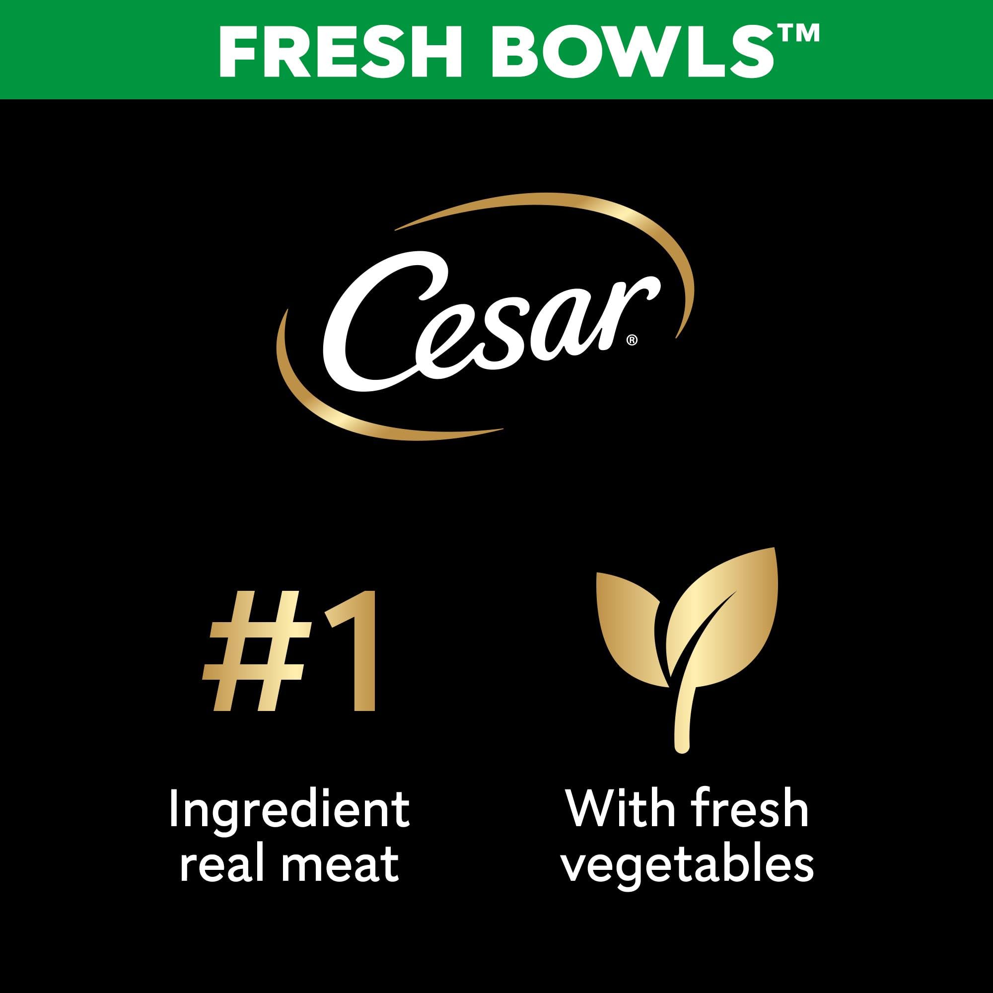 Cesar Fresh Bowl Adult Dog Food Pate with Duck, Red Rice & Vegetables | 85g Trays (Pack of 10) 2