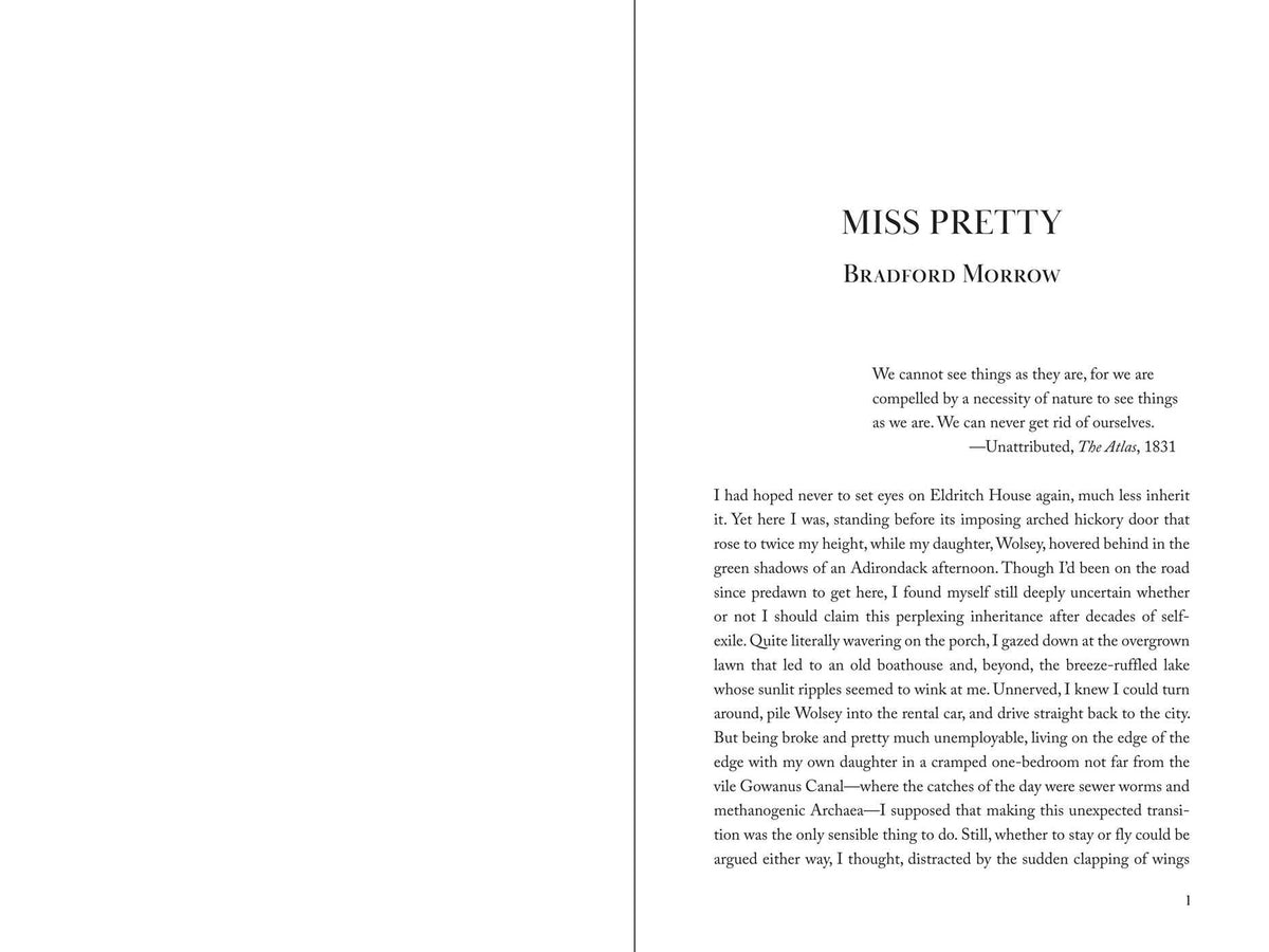 Axe: Stories That Cut Deep by Heresy Press - Short Stories Collection | 264 Pages | Hardcover 6