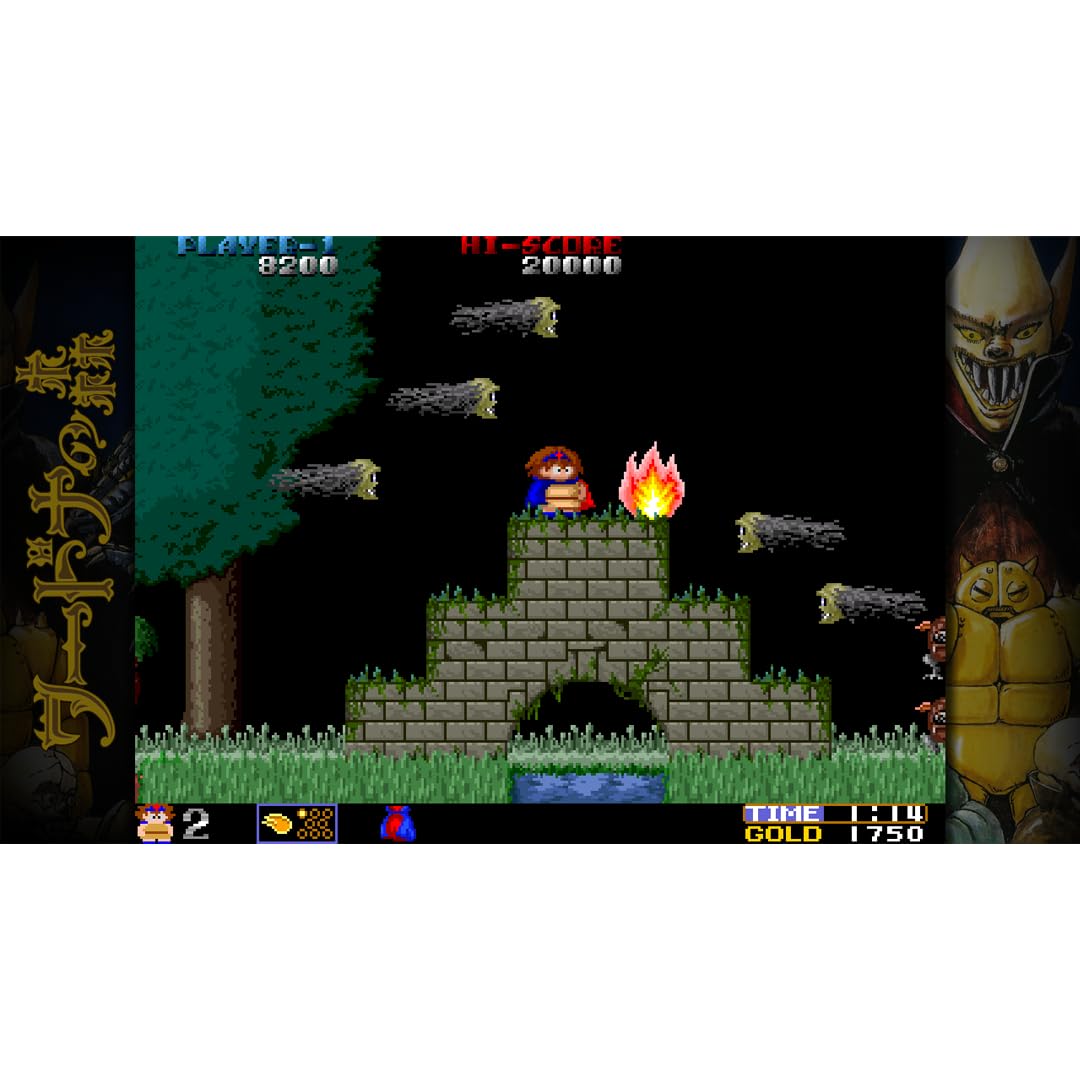 Toaplan Arcade Garage: Flying Fire Shark [PS4] 9