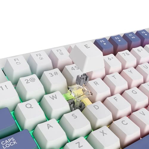 Trust Gaming GXTrust 872 Xyra TKL Mechanical Keyboard - Gasket Mount, Hot-Swappable, RGB Backlit, UK Layout 22