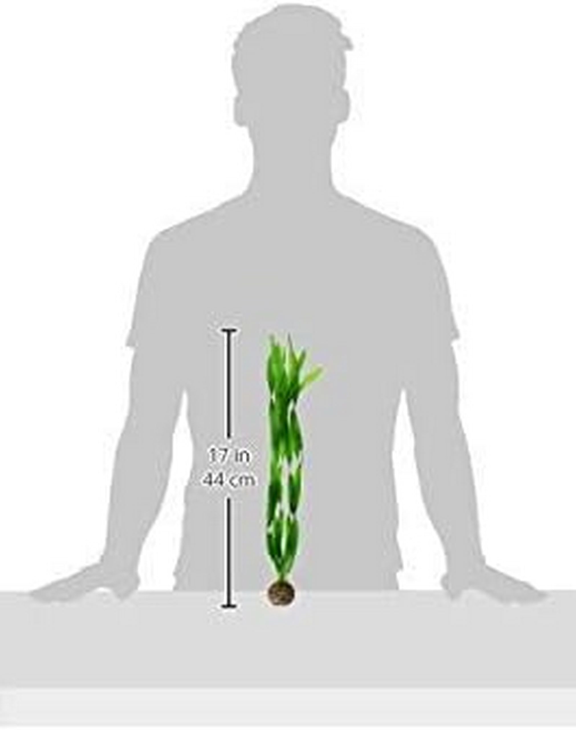 biOrb Easy Plant - Tall Artificial Aquarium Plants, Pack of 2, Green 2