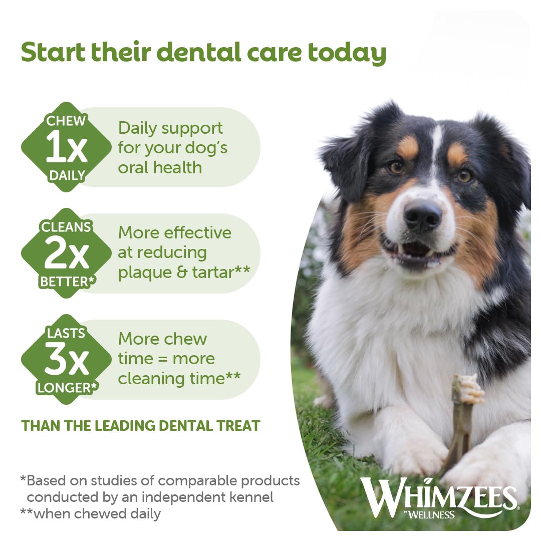 WHIMZEES Toothbrush S - 24 Pack Dog Dental Sticks for Small Breeds | Natural & Grain Free 6