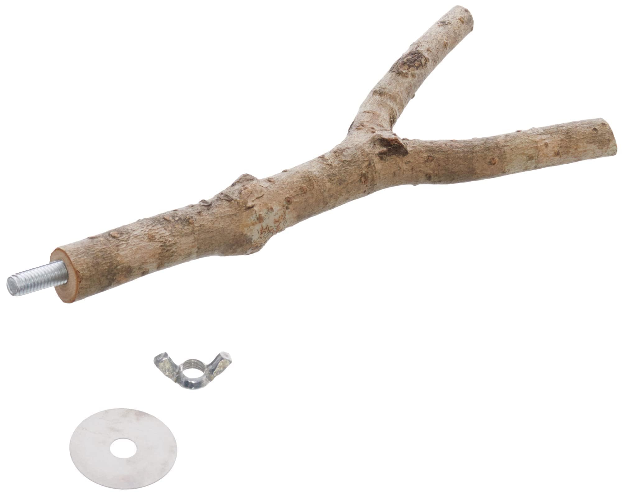 TRIXIE Natural Living Y Shape Bird Perch - Natural Wood | 20 cm Length | 15 mm Diameter 2