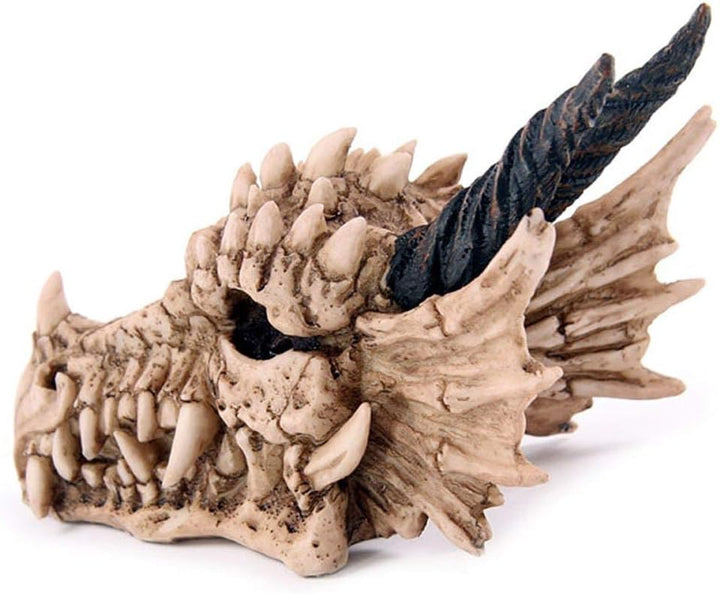 Puckator - Dragon Skull Money Box Home Decor