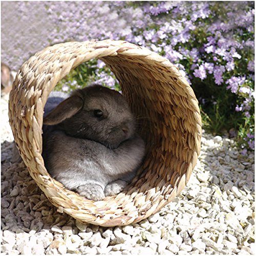 Rosewood Natural Water Hyacinth & Rattan Tunnel - Large Size for Small Animals | Deep Burrowing Base 2