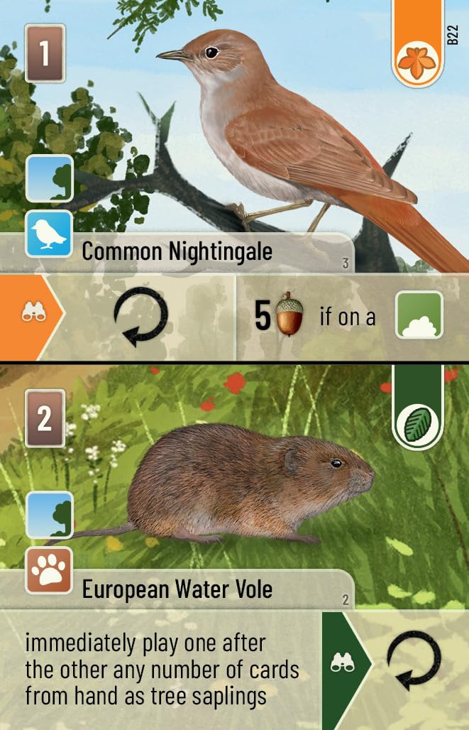 Lookout Forest Shuffle: Woodland Edge Card Game Expansion | Ages 10+ | 2-5 Players | 60+ Minutes 6