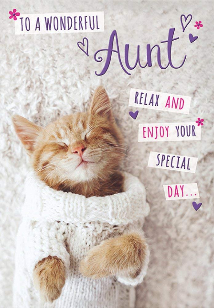 Piccadilly Greetings Birthday Card for Aunt - Sleeping Kitten Design | 7 x 5 Inches