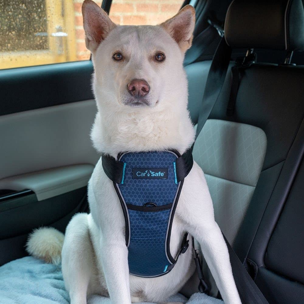 CarSafe Crash Tested Dog Safety Harness - Medium, Blue | Certified up to 32Kg/70lbs