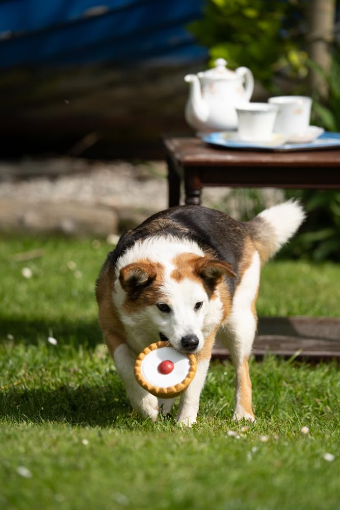 Petface Cherry Bakewell Latex Dog Toy with Built-In Squeaker | Durable Chew Toy for All Breeds 2