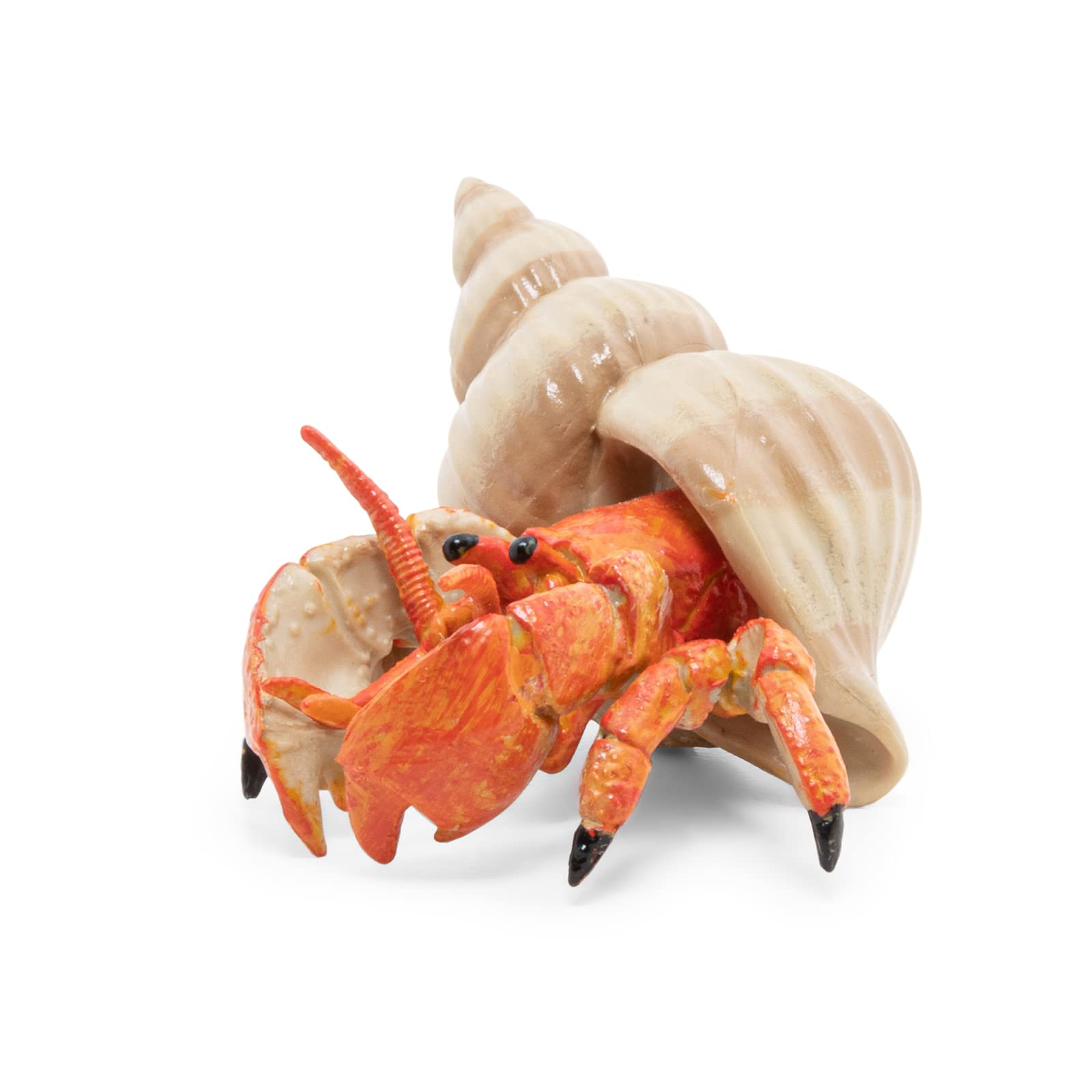 Papo Hermit Crab Figurine - Hand Painted Marine Animal Toy for Kids 3+ | Model 56054 | 6.1 x 4.4 x 2.8 cm 6