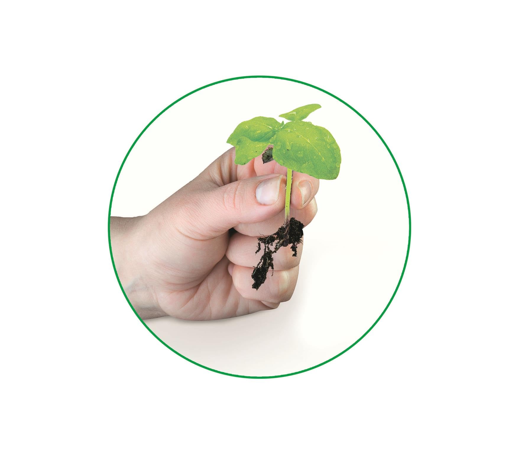 My First Greenhouse - Science & Play Lab for Kids 7 Years and Up 15