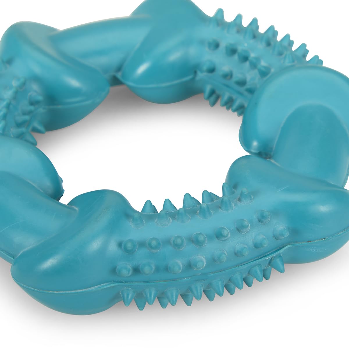 Petface Little Petface Rubber Ring Teething Chew Dog Toy for Puppies | Non-Toxic Rubber | Turquoise 4