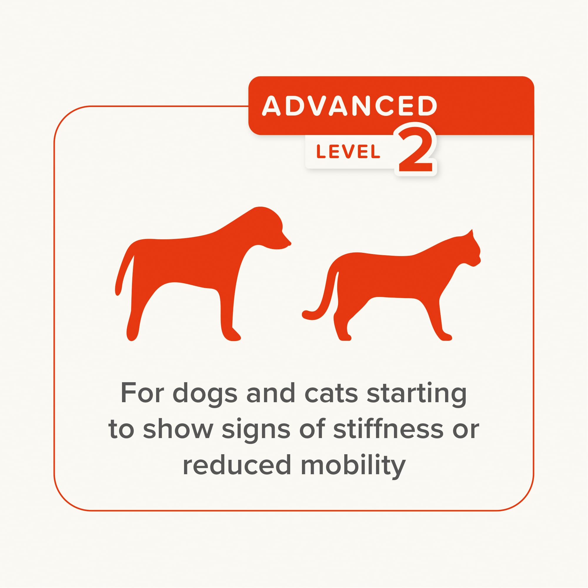 Beaphar Flexifit Joint Supplement Paste for Dogs & Cats - 250g | Aids Mobility & Soothes Stiff Joints 5