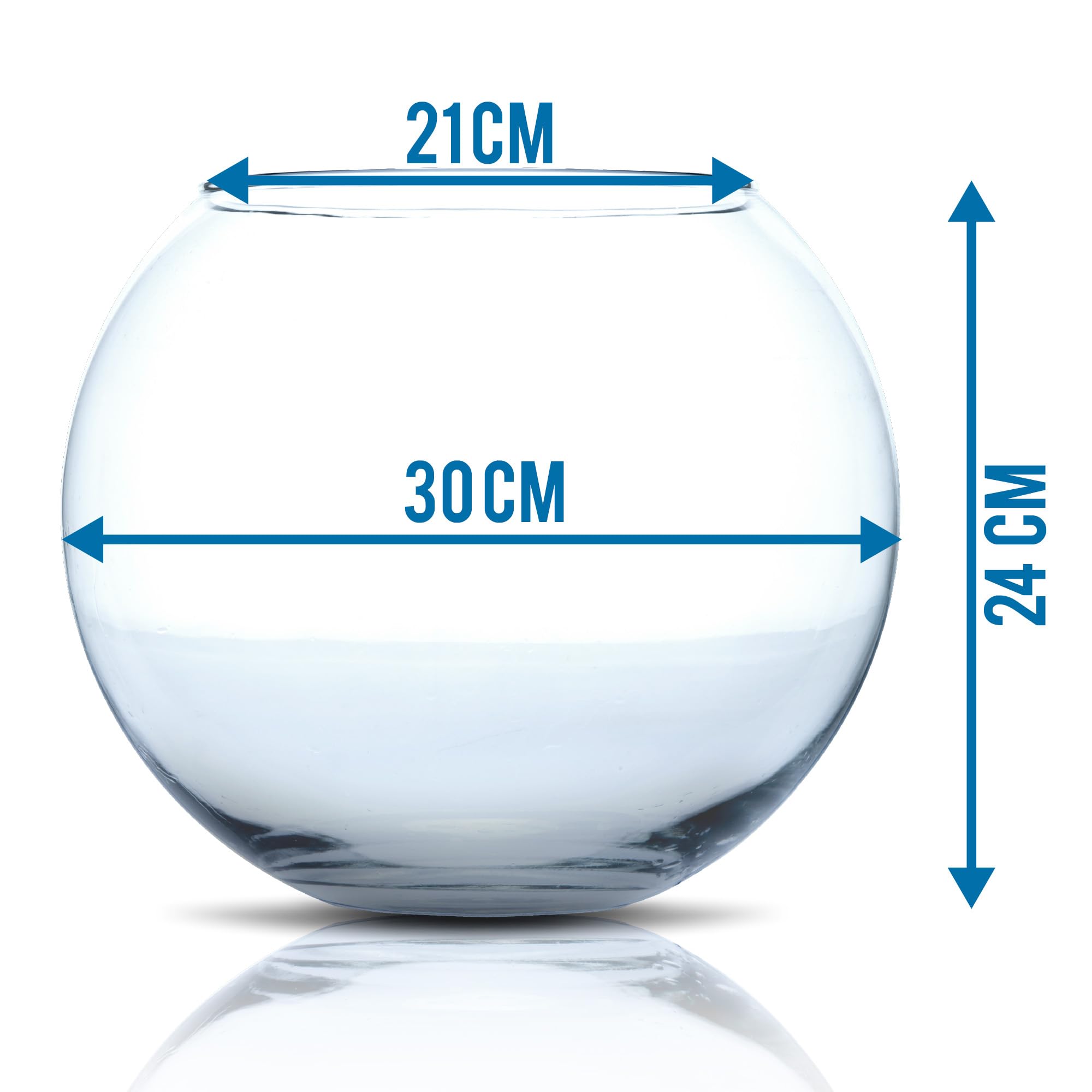 Amtra Crystal Globe Hand-Blown Glass Fishbowl Aquarium | 30 CM Diameter 2