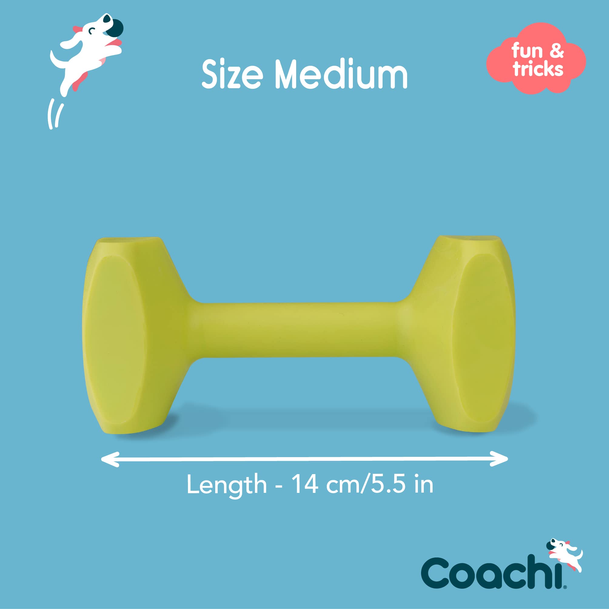 Coachi Training Dumbbell - Floats for Retrieval | Super Tough Plastic | Size M Lime 4