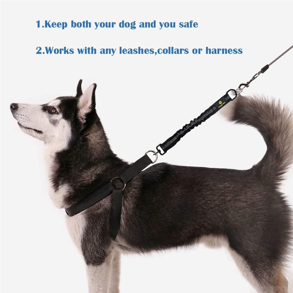 Snagle Paw Bungee Dog Leash Extension - Shock Absorbing | 24 Inch Extended Length | Reflective 3