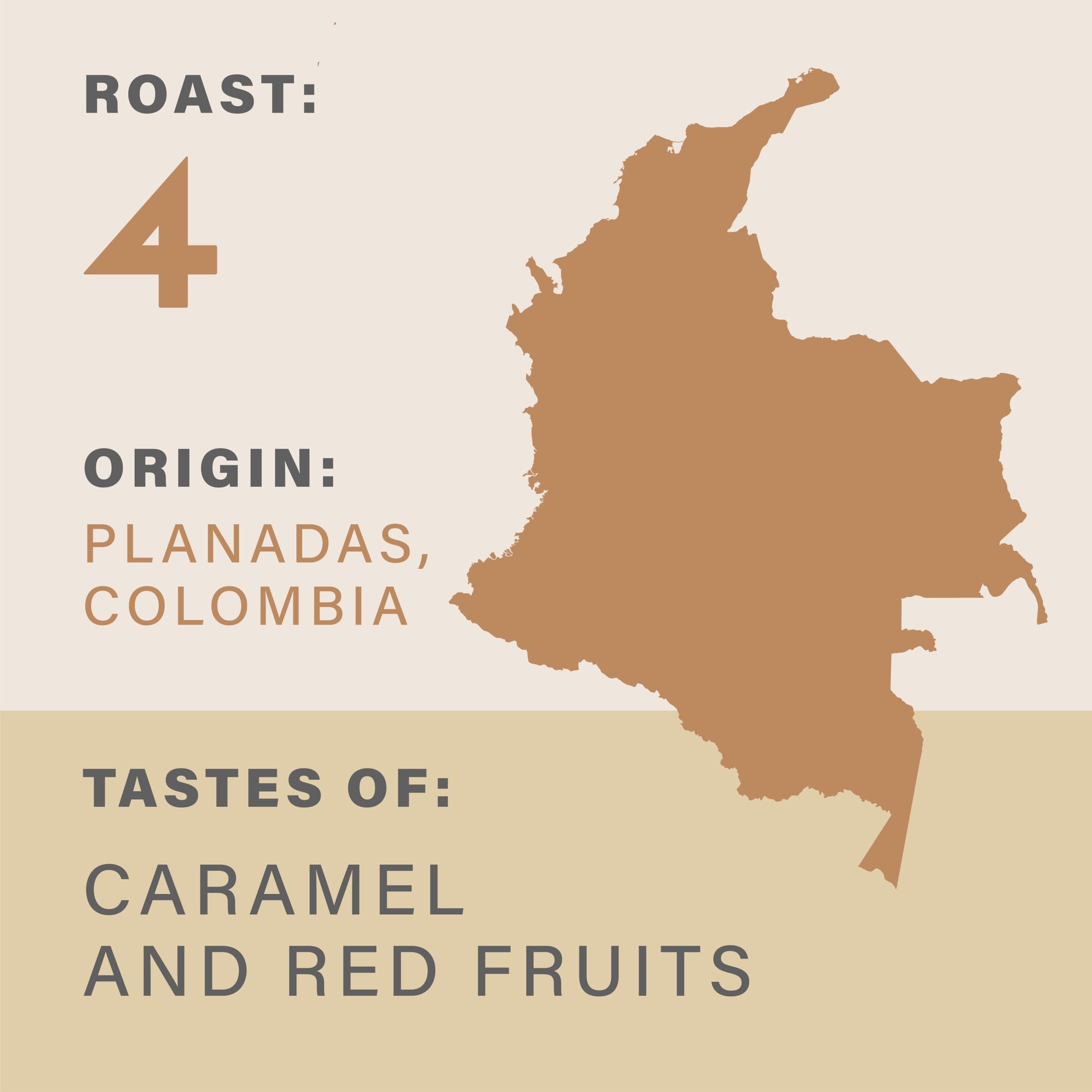 Grumpy Mule Colombia Planadas Organic Whole Coffee Beans - Fairtrade & Organic Medium-Dark Roast with Caramel and Red Fruit Notes