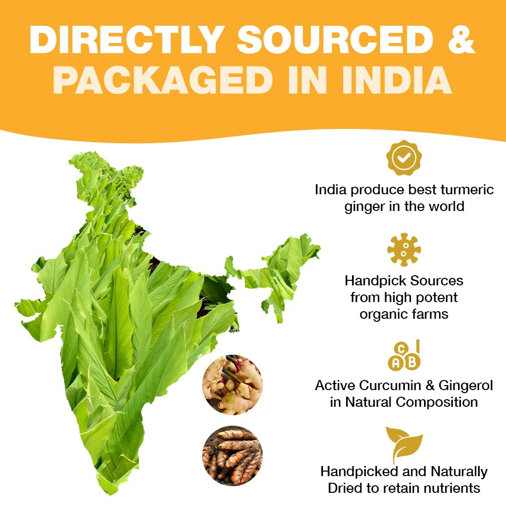 HANDPICK - Turmeric Ginger Tea Bags (100 Herbal Tea Bags) Caffeine Free, Non-GMO, Eco-Conscious Packaging 7