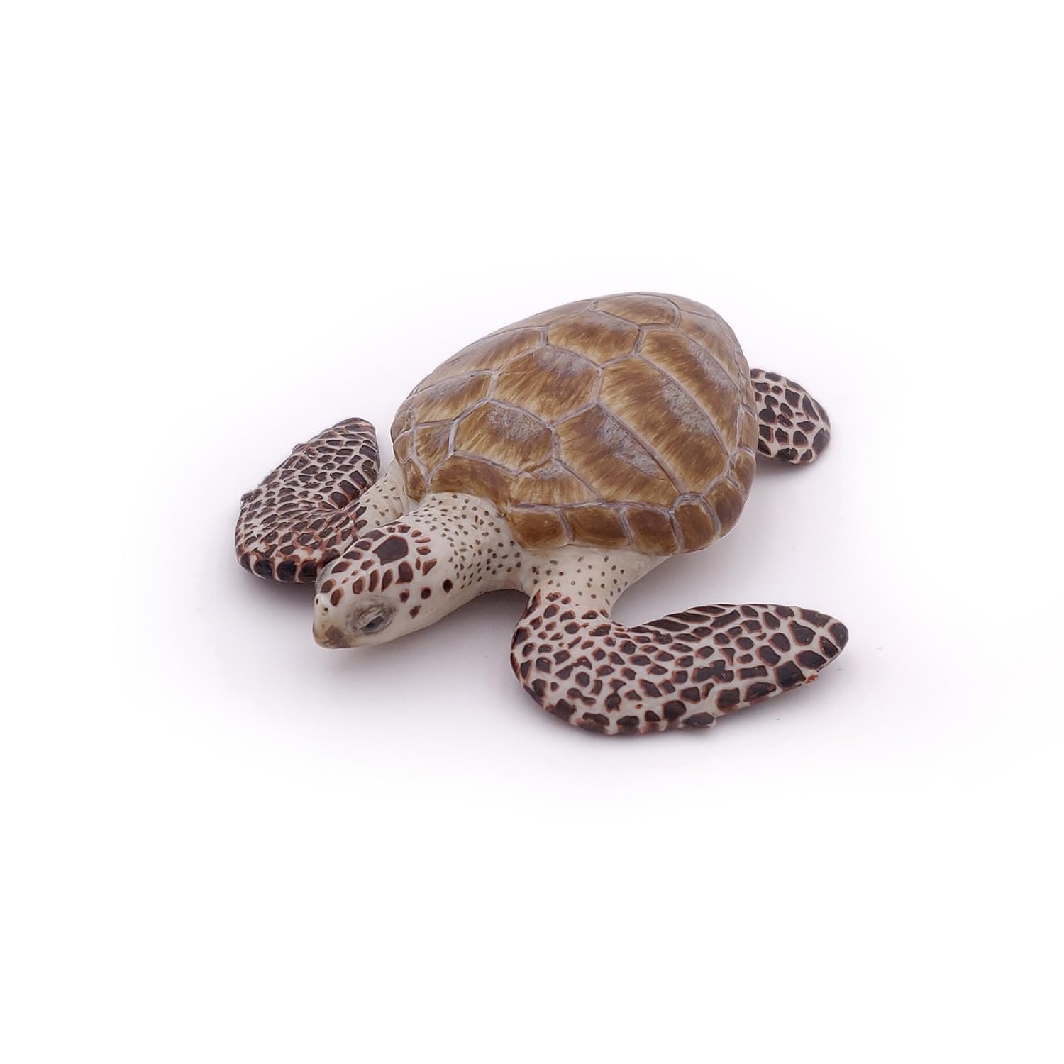 Papo Loggerhead Turtle Figure 56005 Miniature Marine Life Toy for Ages 3+ 2