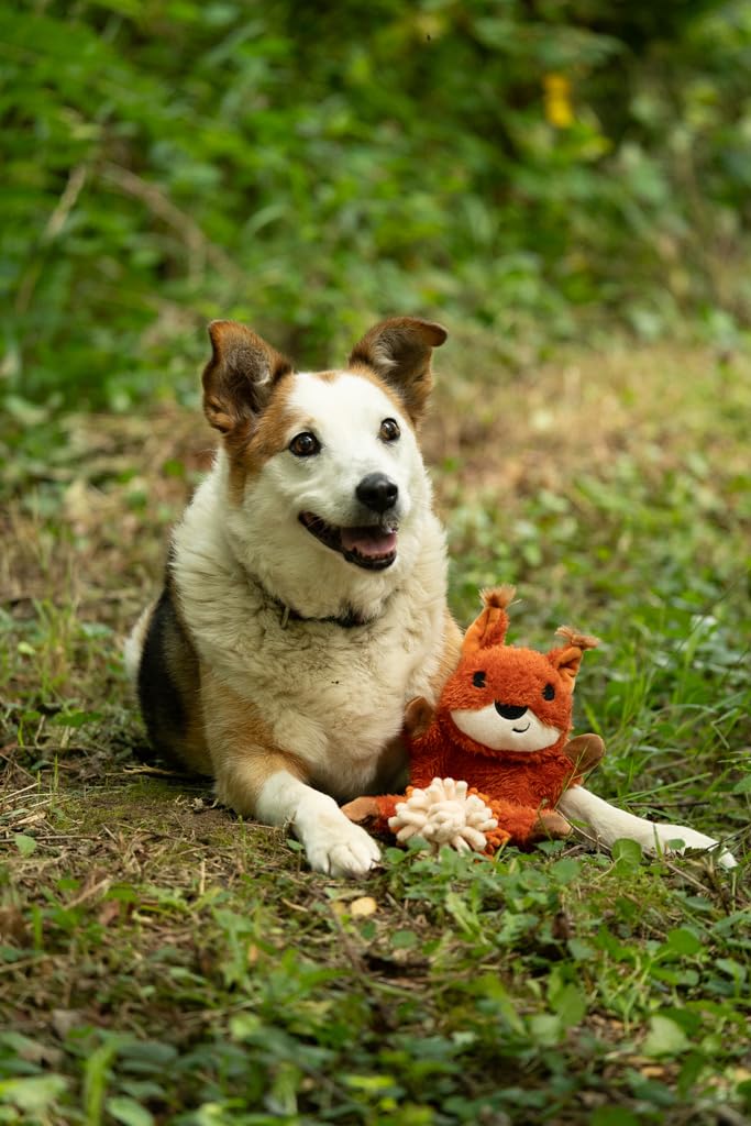 Petface Saffia Squirrel Crinkle Dog Toy - Built-in Squeaker | Polyester Plush | Orange 2