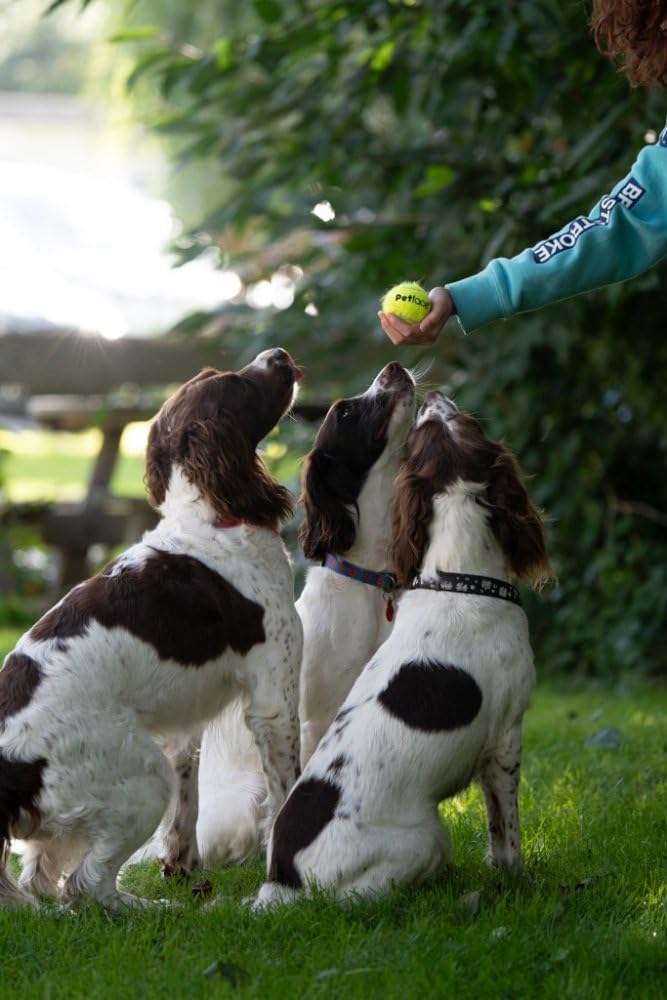 Petface Super Tennis Balls - 3 Pack | Durable Fetch Toy | Natural Rubber 5