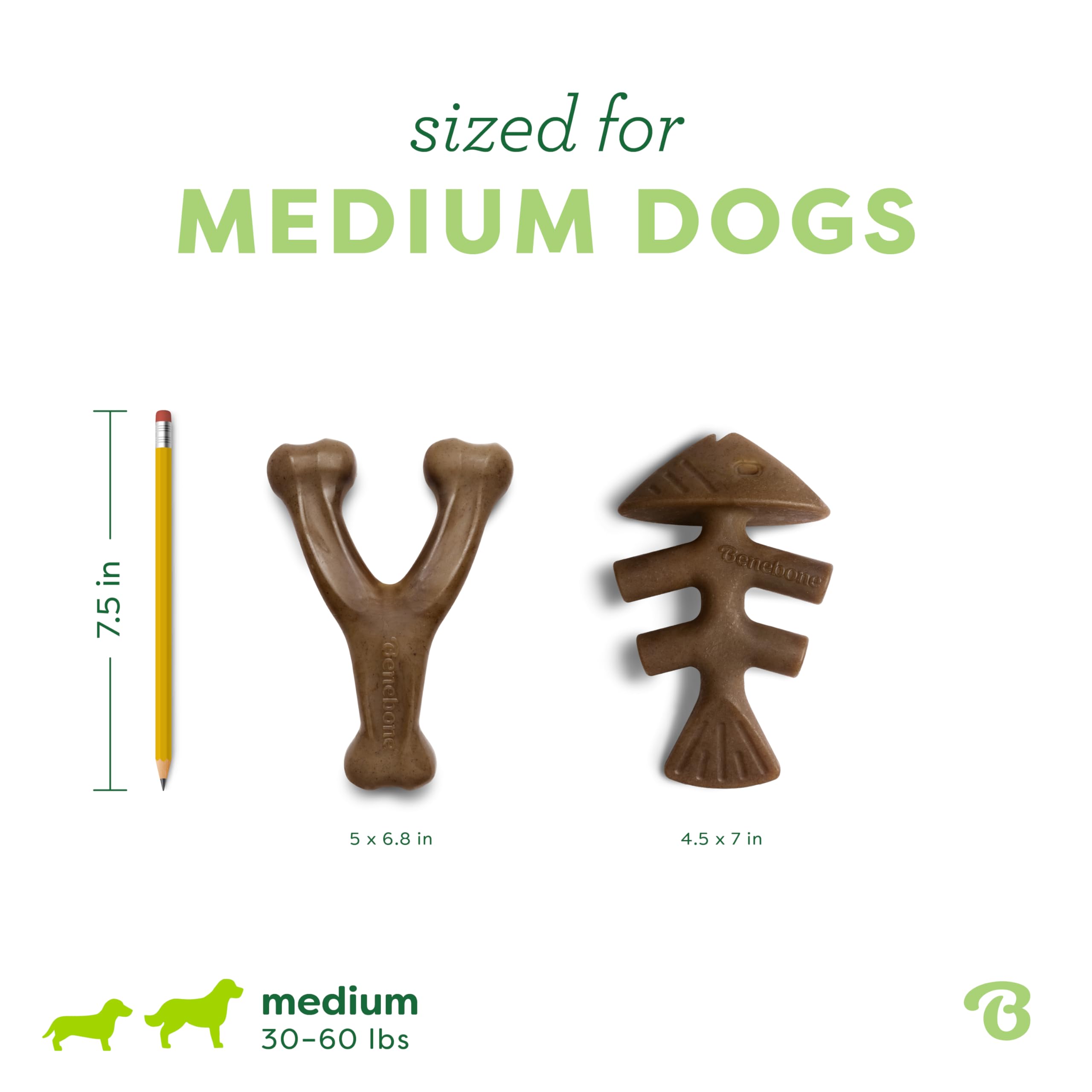 Benebone 2-Pack Fishbone & Wishbone Durable Nylon Chew Toys for Medium Dogs | Real Bacon & Salmon Flavor 4