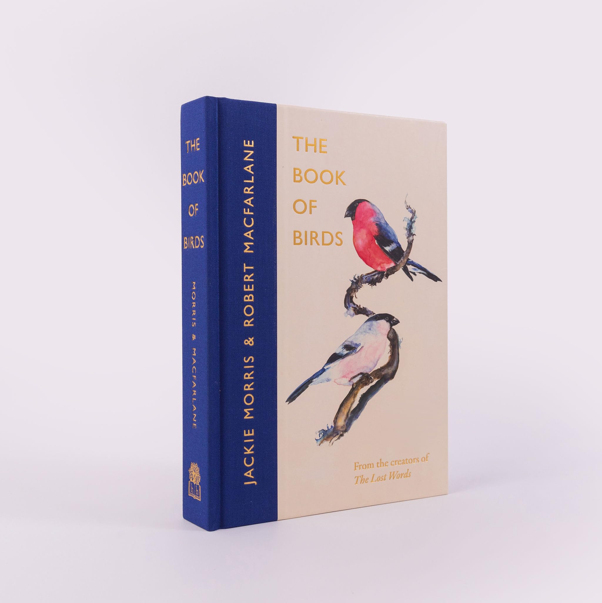 Morris & Macfarlane - The Book of Birds | Hardcover Field Guide to Declining British Bird Species 7