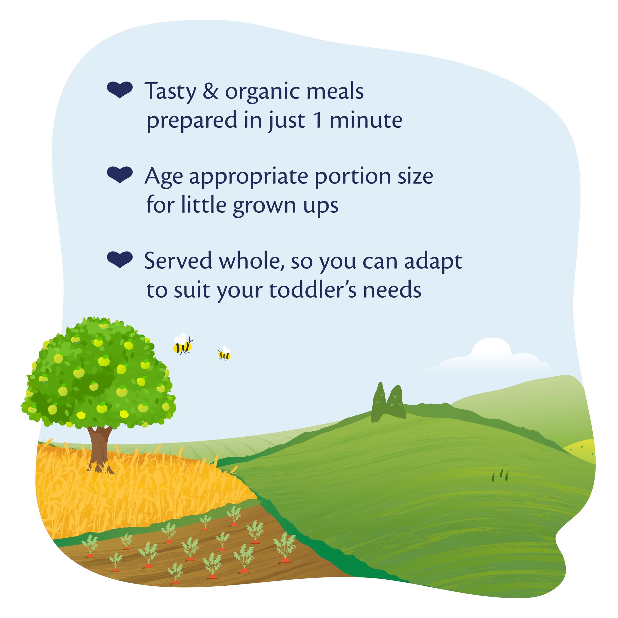 HiPP Organic Lasagne Bolognese Toddler Meal 15+ Months 250g (Pack of 6)