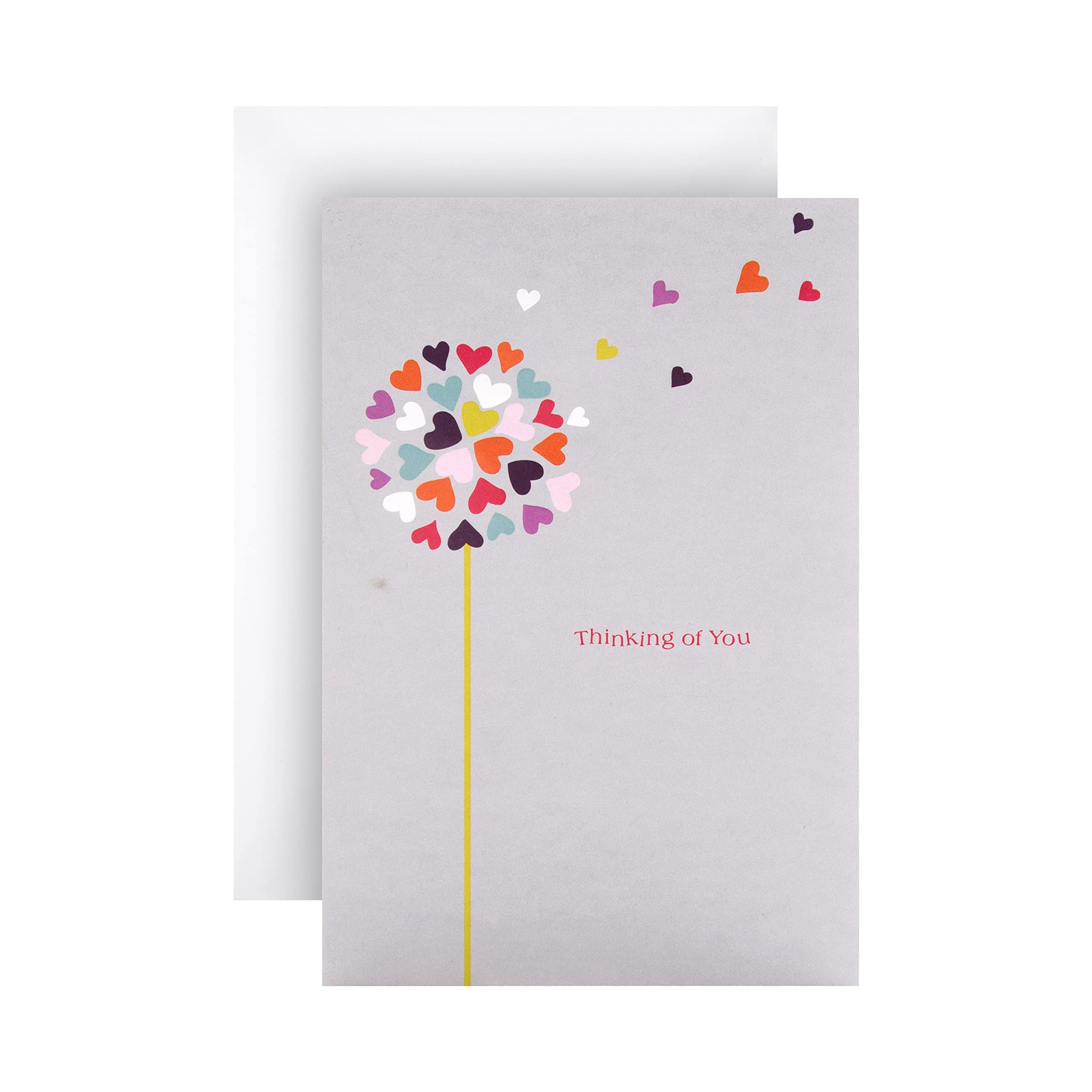 Hallmark Thinking Of You Card - Contemporary Illustrated Design with Embossed Dandelion 1