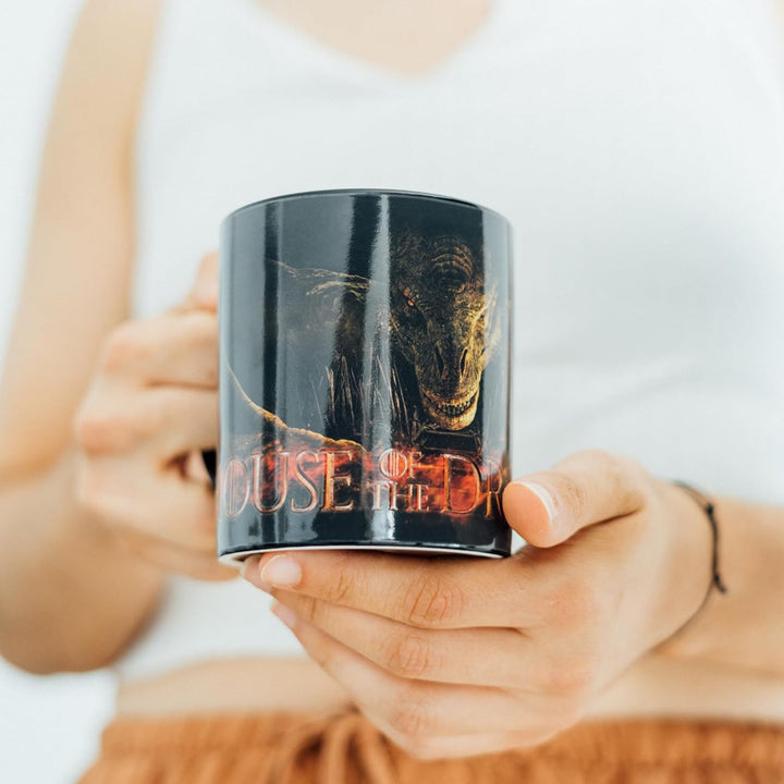 Grupo Erik House of The Dragon Heat Changing Mug - Targaryen Dragon Ceramic Mug (TAZT03)