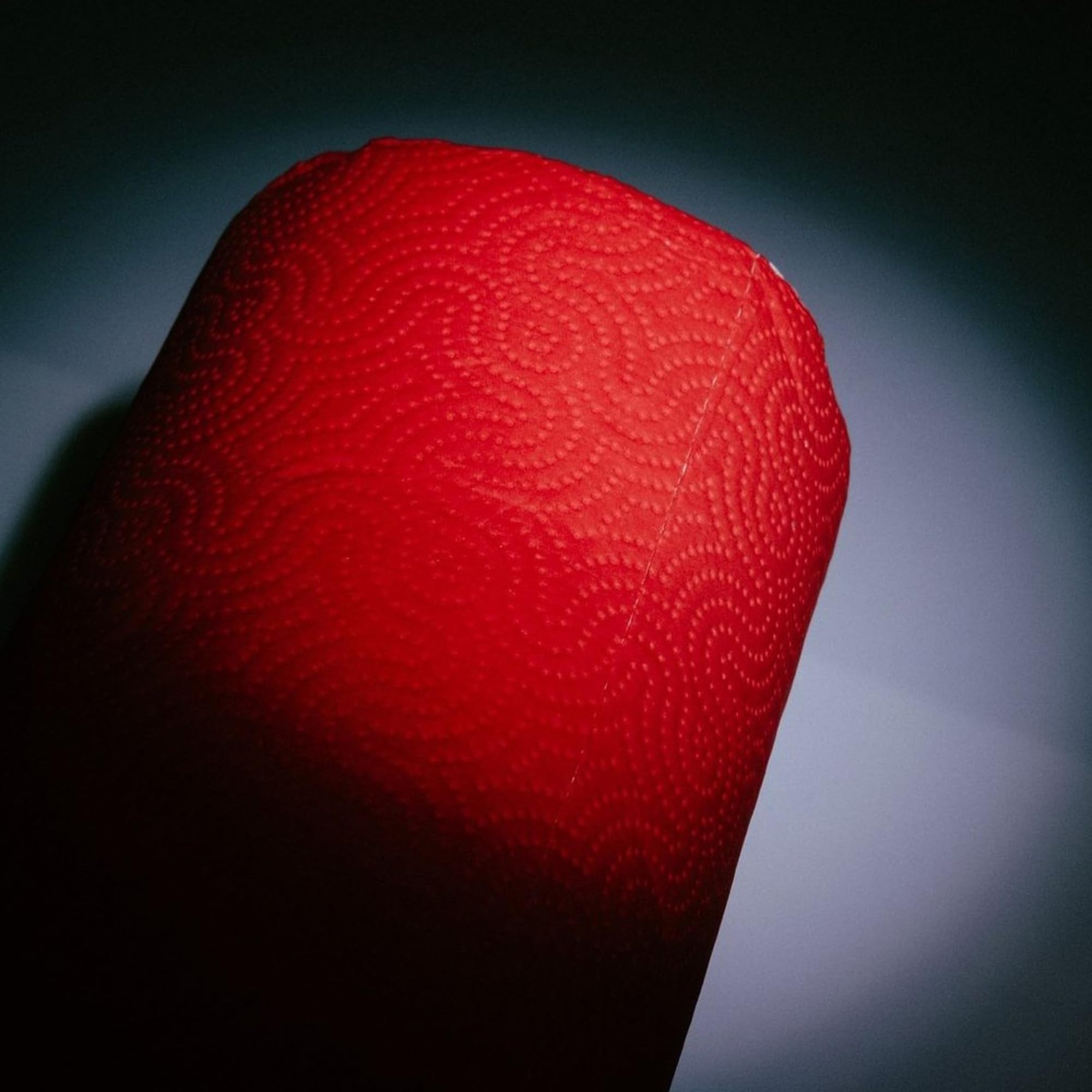 Renova Red Paper Towel 1 Roll, 2-Ply, FSC Certified, Kitchen Roll 10