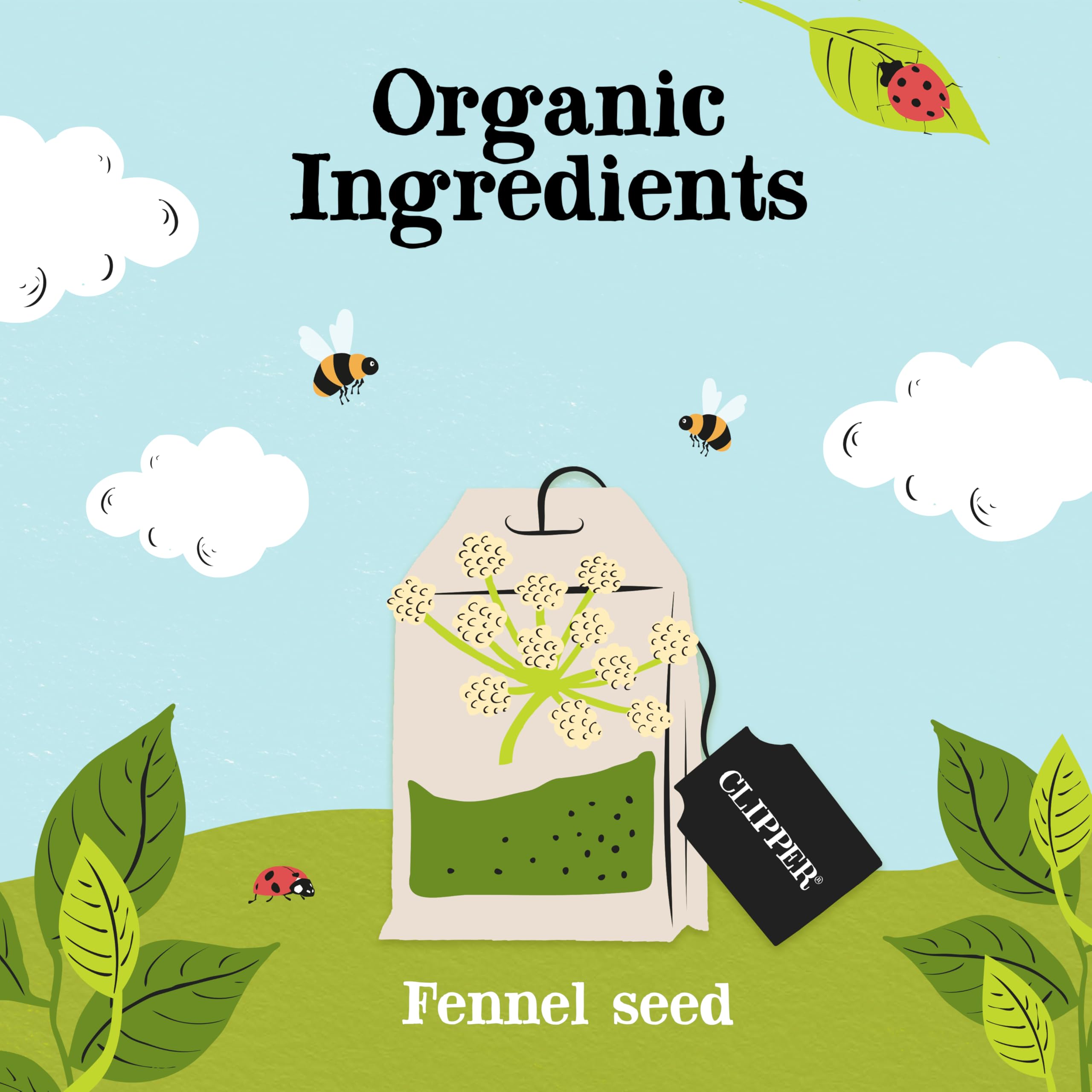 Clipper Natural, Fair & Delicious Organic Fennel Tea Bags - 20 Count, Caffeine Free 3