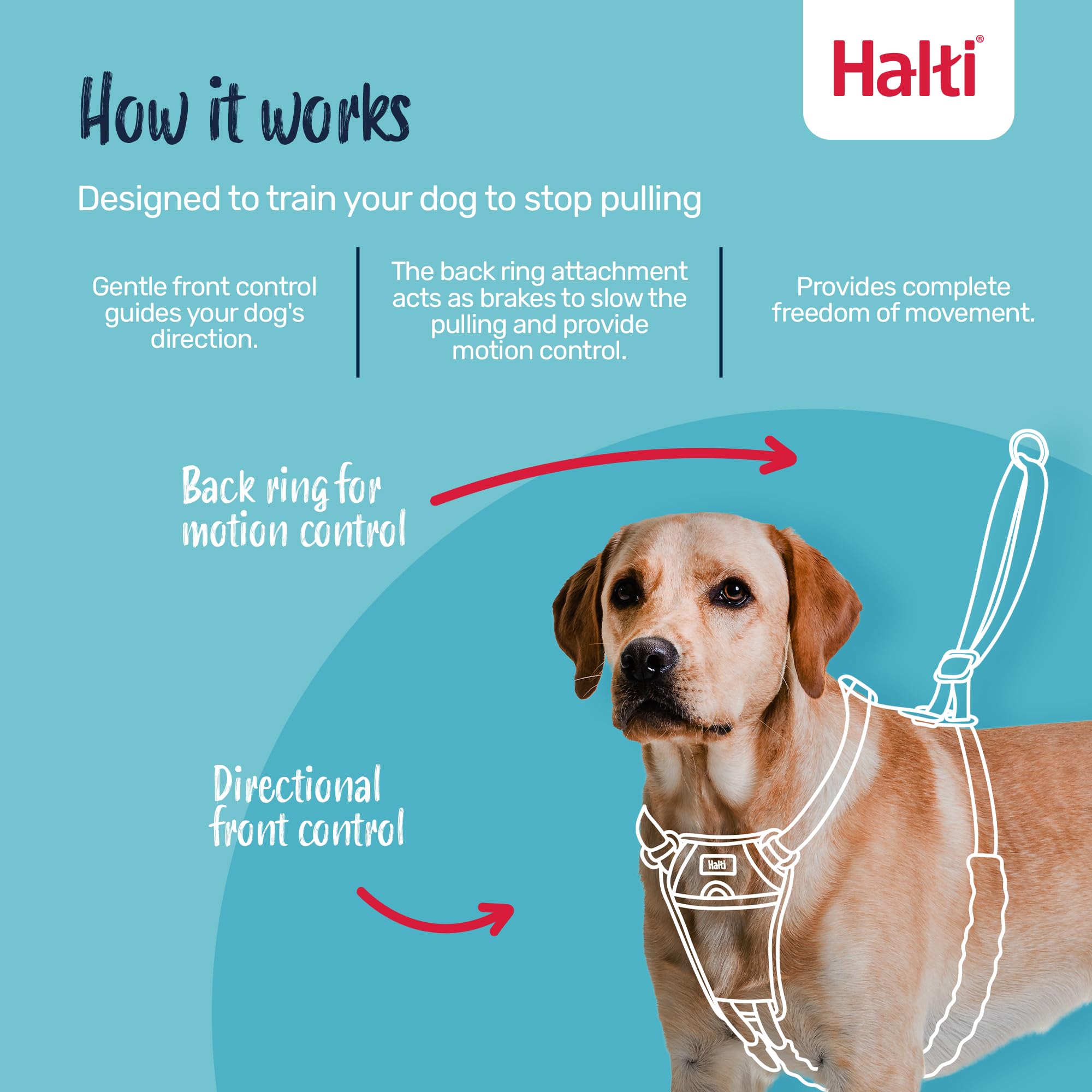 Halti No Pull Vest Harness - Stops Pulling, Adjustable, Reflective | Size Medium, Black 3